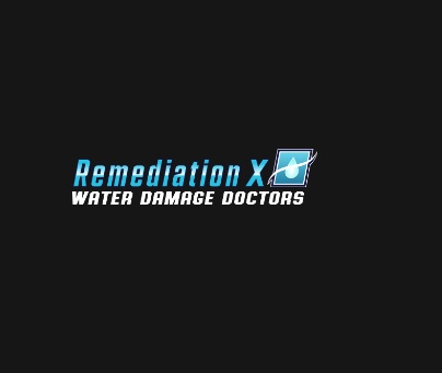 REMEDIATIONX